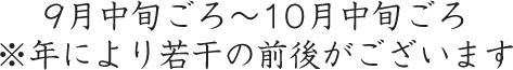 9月中旬ごろ～10月中旬ごろ※年により若干の前後がございます
