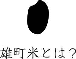 雄町米とは？
